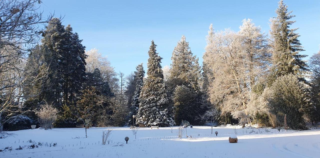 Maisonmazerand Cirey-sur-Vezouze Exteriör bild