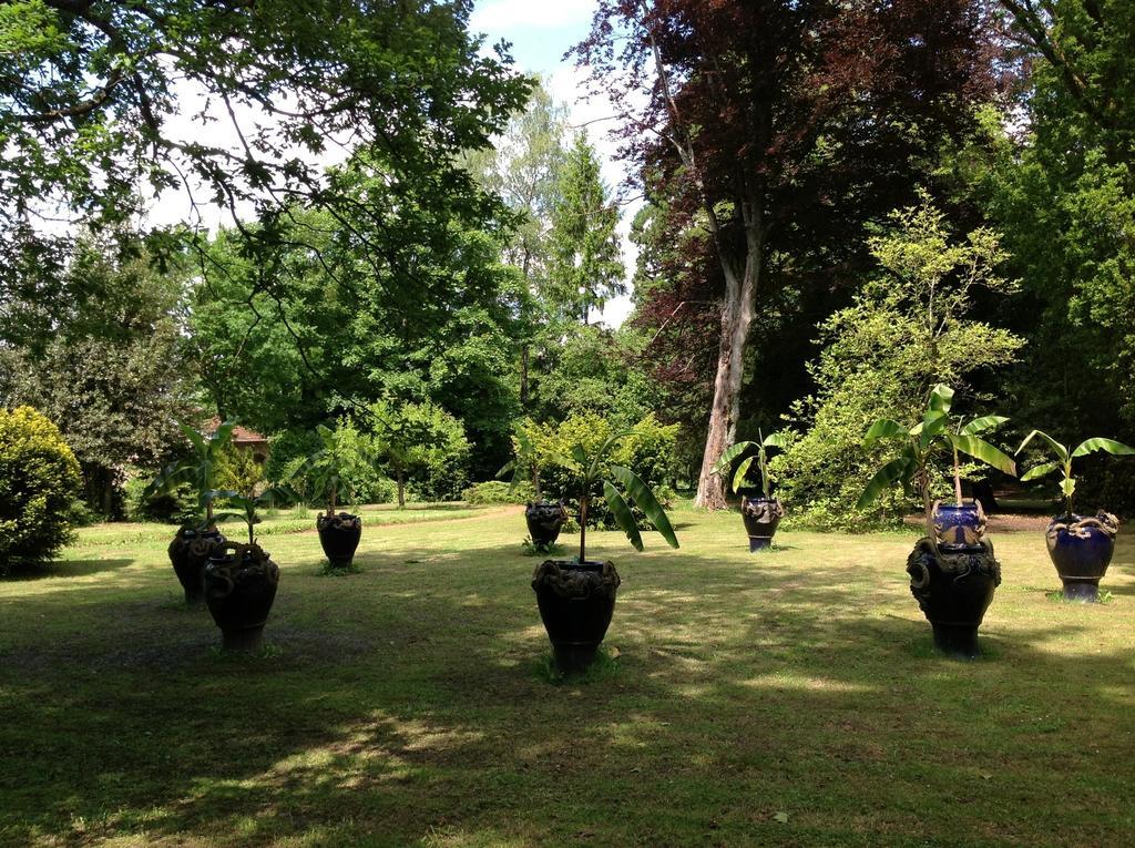 Maisonmazerand Cirey-sur-Vezouze Exteriör bild