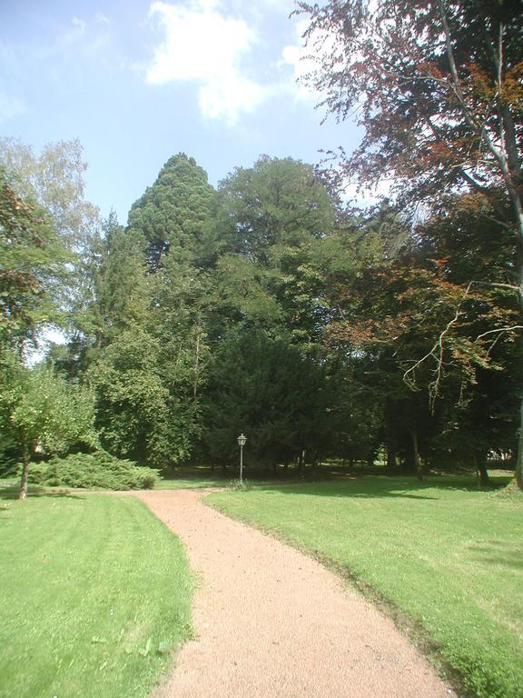 Maisonmazerand Cirey-sur-Vezouze Exteriör bild