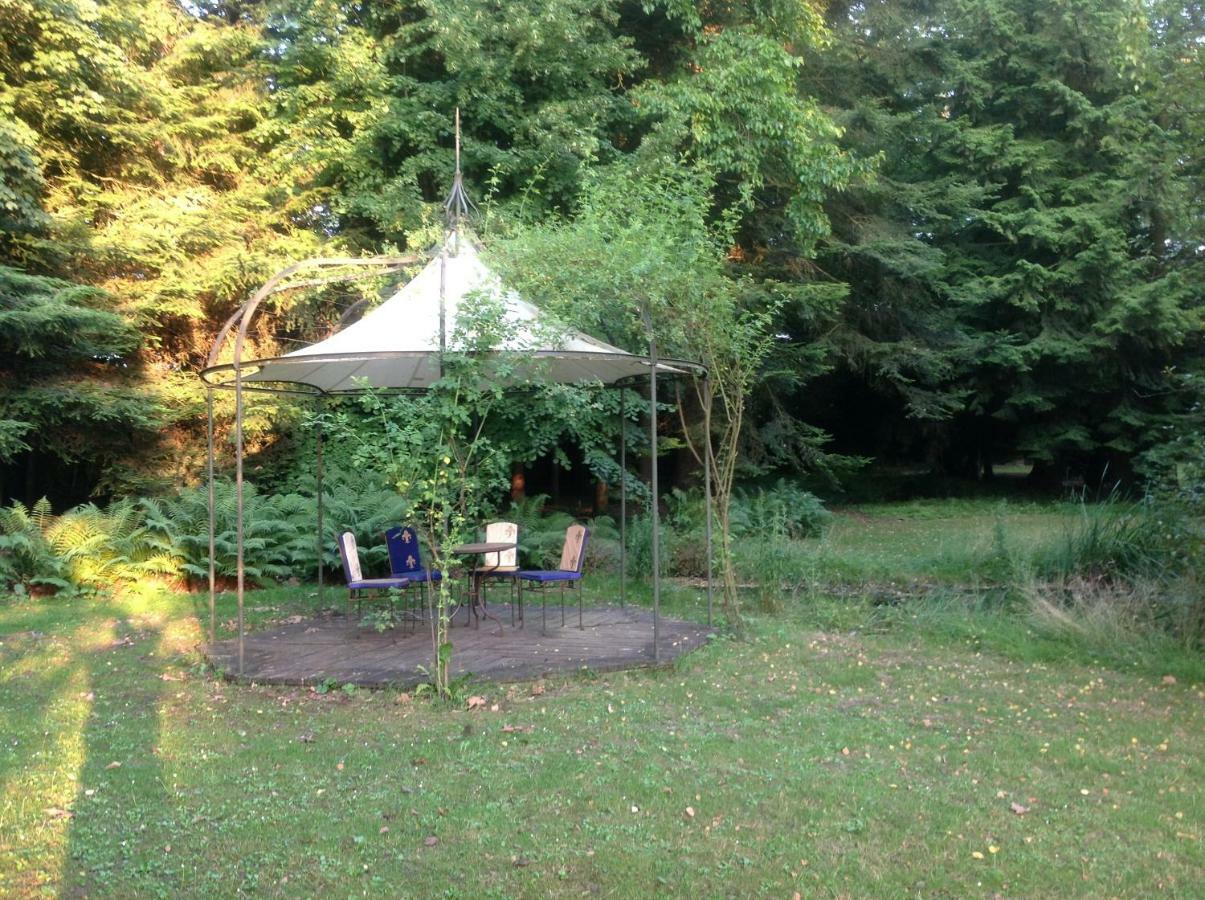 Maisonmazerand Cirey-sur-Vezouze Exteriör bild